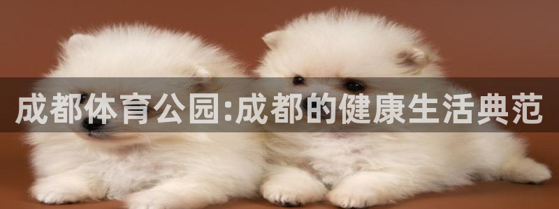 JJB竞技宝官网下载娱乐：成都体育公园:成都的健康生