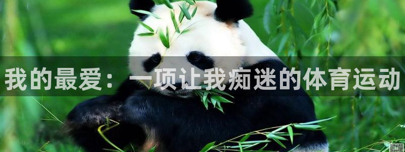 JJB竞技宝官网下载平台注册流程视频：我的最爱：一项