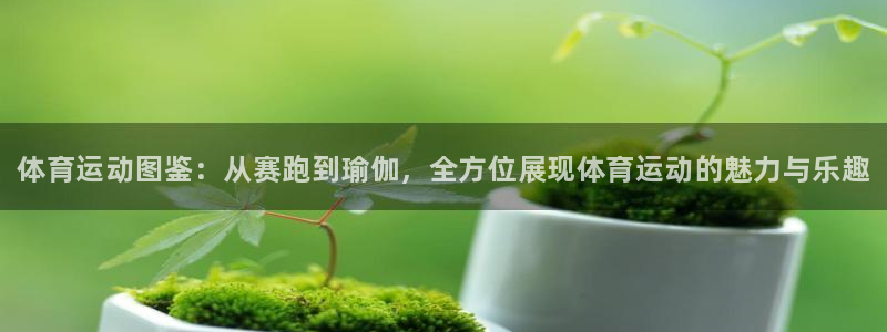 JJB竞技宝官方正版app娱乐平台：体育运动图鉴：从