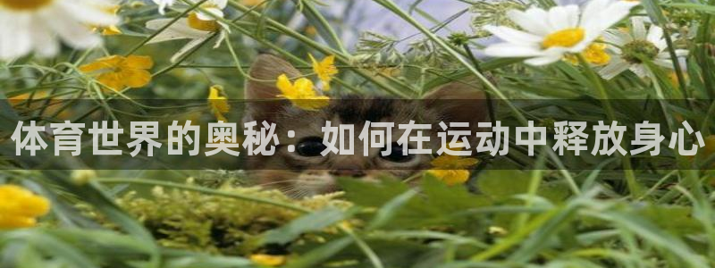 JJB竞技宝官方正版app官网：体育世界的奥秘：如何