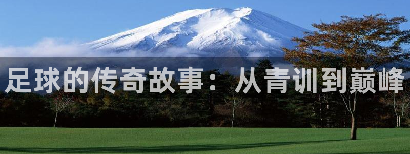 JJB竞技宝官网下载招商电话地址是多少：足球的传奇故