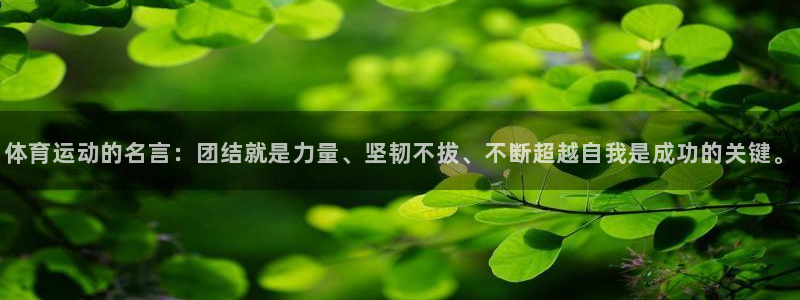 JJB竞技宝官网下载平台APP：体育运动的名言：团结就是力量