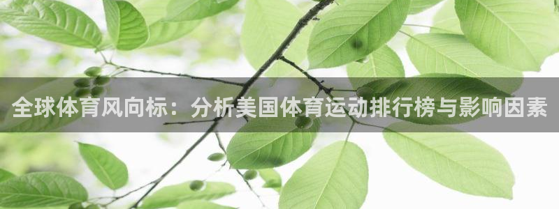 JJB竞技宝官网下载招商电话号码