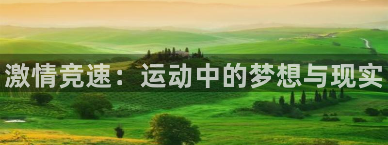 JJB竞技宝官方正版app官方：激情竞速：运动中的梦想与现实
