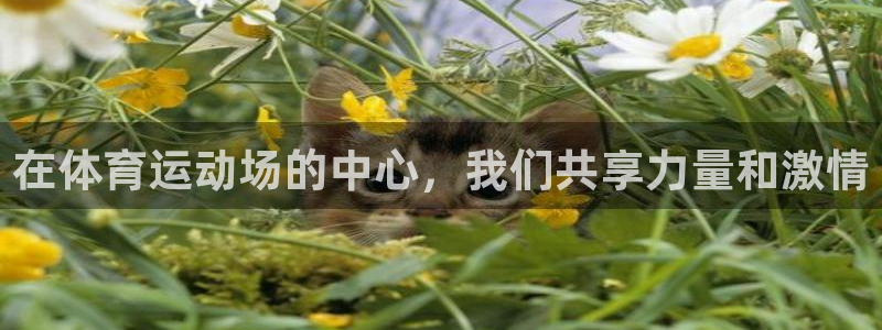 JJB竞技宝官网下载招商电话是多少：在体育运动场的中心，我们