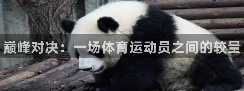 JJB竞技宝官网下载官方客服电话：巅峰对决：一场体育