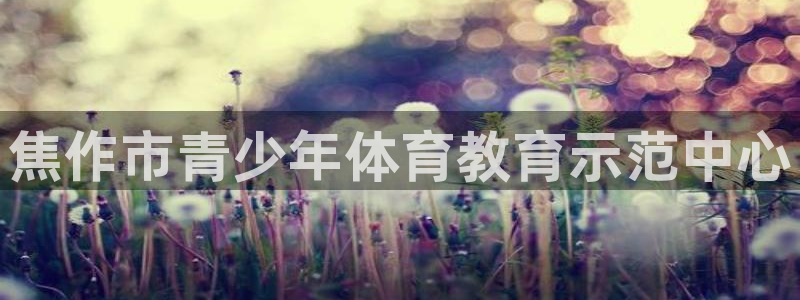 JJB竞技宝官方正版app集团logo：焦作市青少年