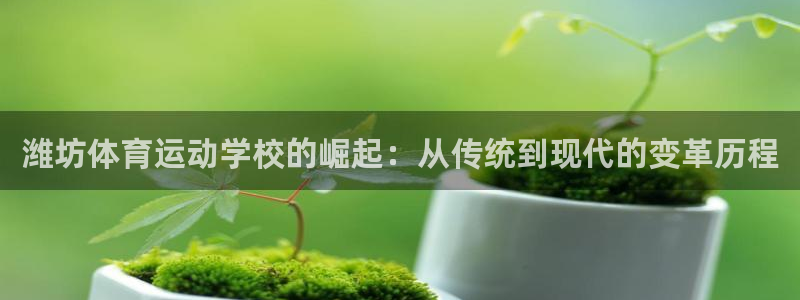 JJB竞技宝官方正版app娱乐平台