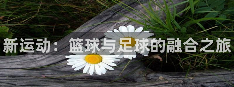 JJB竞技宝官网下载招商电话号码是多少号：新运动：篮球与足球