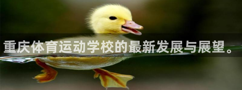 竞技宝官网测速站网址：重庆体育运动学