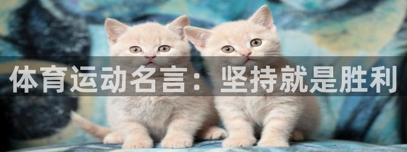  竞技宝手机端下载安装：体育运动名言：坚持就是胜利