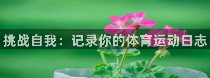  竞技宝登录入口：挑战自我：记录你的体育运动日志