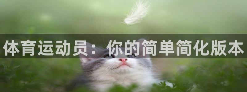 竞技宝官网one：体育运动员：你的简单简化版本