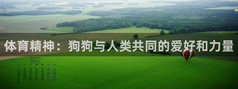  竞技宝手机端下载官网入口：体育精神：狗狗与人类共同的爱好和力