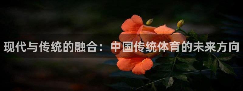 竞技宝app官方安卓版下载：现代与传
