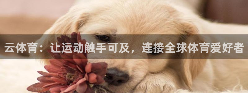 竞技宝app下载安装苹果：云体育：让运动触手可及，连接全球体