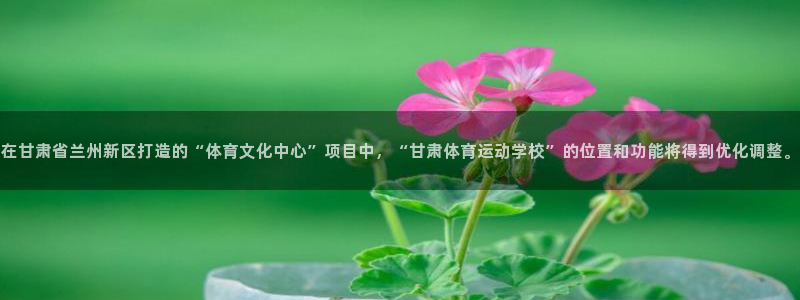 竞技宝下载app苹果：在甘肃省兰州新区打造的“体育文化中心”