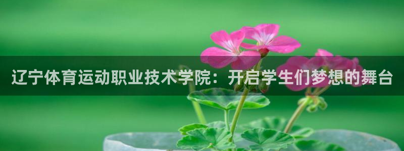 竞技宝怎么样好玩吗不如哈哈电竞：辽宁