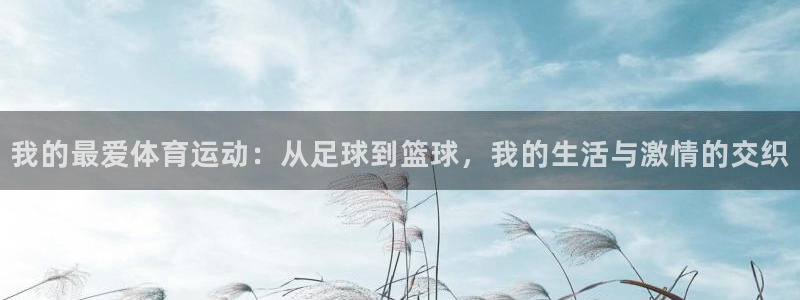 竞技宝app官方苹果：我的最爱体育运