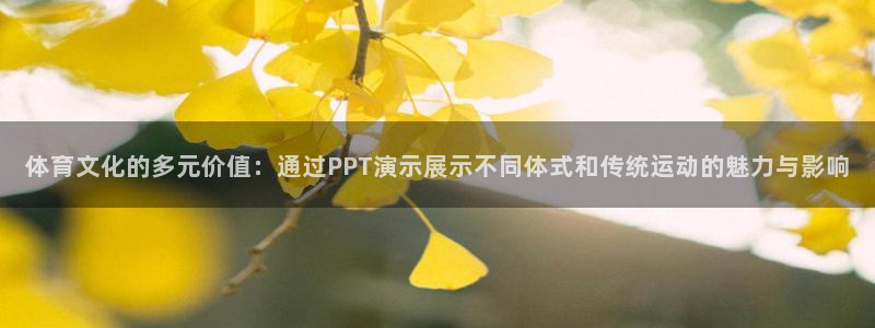 竞技宝官网导航,竞技宝测速站：体育文化的多元价值：通过PPT