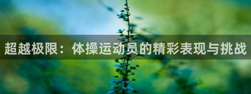  竞技宝下载最新版：超越极限：体操运动员的精彩表现与挑战