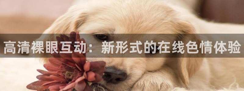 蜘蛛直播体育足球：高清裸眼互动：新形式的在线色情体验