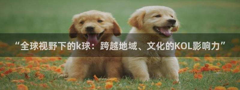 蜘蛛直播球地带：“全球视野下的k球：跨越地域、文化的KOL影响力”