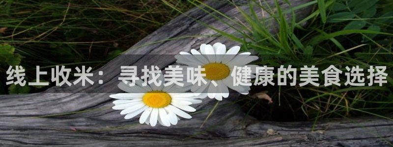 蜘蛛nba直播免费观看：线上收米：寻找美味、健康的美食选择